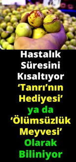 Pin By Asli Gurkan On Evde Hazirlabilen Ilaclar Health Drink Diet And Nutrition Natural Medicine