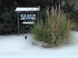 Maybe you would like to learn more about one of these? Spring Hill Rv Park Home Facebook