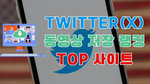 2025 ]트위터(X) 동영상 저장 랭킹, 영상 다운로드 사이트 정리