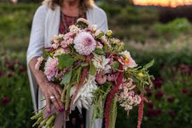 How to Plant Dahlia Tubers