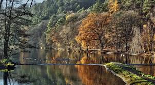 Kom naar de belgische ardennen en boek 1 van de ardennen chalets. Gruppenurlaub In Den Ardennen Camping Spa D Or