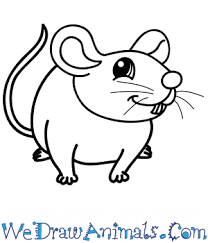 We love participating in winter sports and even watching them, especially during the winter olympics! How To Draw A Cartoon Mouse
