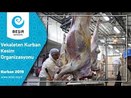 Vekaleten Kurban Kesim Organizasyonu 2019 Youtube