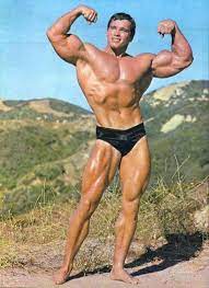 50 Real Arnold Schwarzenegger Bodybuilding Pictures Machovibes Motivacao Para Culturismo Fisiculturista Fisiculturismo