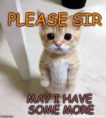 Check spelling or type a new query. Please Sir Imgflip