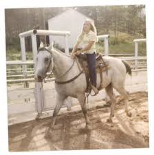 Perino served as the white house press secretary for president george w. Dana Perino Photos Bio Of White House Press Secretary And Fox Anchor