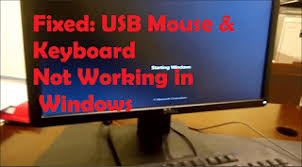 Sometimes your mouse or keyboard may stop working all of a sudden without any sign of visible damage and in most cases, it is not really your fault if the issue with the mouse had been persistent before now endeavor to restart the computer. Fixed Usb Keyboard Mouse Not Working On Windows Startup Ministry Of Solutions