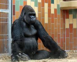 Meditation Easy Meditation Meditation Benefits Quick Meditation