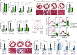 Second, this expansion includes rules on how to incorporate the new components and options from the a storm of swords game into the original a game of thrones. Alteration Of Circadian Machinery In Monocytes Underlies Chronic Kidney Disease Associated Cardiac Inflammation And Fibrosis Nature Communications