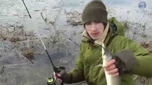 Lovlya Shuki Spinningom V Zhabovnikah Video Rybolovnyj Dnevnik Youtube