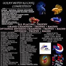 Congratulations Sixty8 Betta Comp Sixty8 Betta Malaysia Facebook