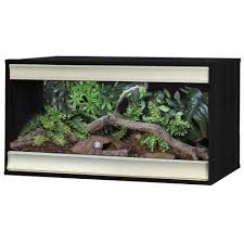 Pin On Products For Reptiles