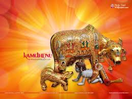 Check out our kamadhenu selection for the very best in unique or custom, handmade pieces from our home & living shops. Kamdhenu Cow Images Pictures Photos Free Download