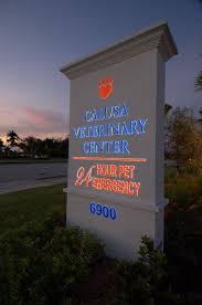 We are open evenings and weekends for emergency care for your pet. Calusa Veterinary Center S Emergency Clinic Is Available Whenever You Need It Our Hospital Has Veterinarians On Site 24 Hou Veterinary Clinic Veterinary Pets