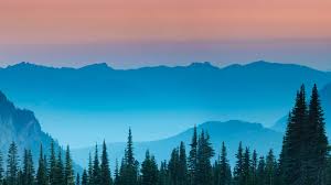 Drawing In The Landscape Painting Color Planetizen Courses