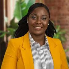 ALPHA Telehealth Access