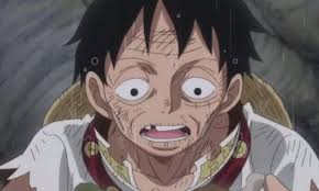 One Piece Episode 825 Anime Review Anime Episodes