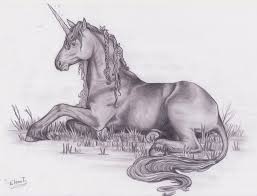 Unicorn Unicorn Sketch Unicorn Art Art