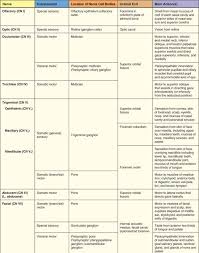 Summary Of Cranial Nerves Basicmedical Key In 2020 Cranial Nerves Cranial Nerves Mnemonic Nursing School Tips