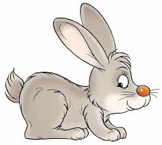 8 Beau De Dessins De Lapins Photos Dessin Lapin Dessin De Chien Coloriage Lapin