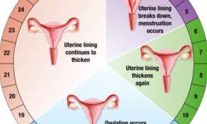 Eating spicy foods is likely to worsen your stomach health. What You Should Eat On Your Period Daily Mail Online