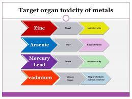 How Are We Exposed To Heavy Metals