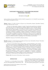 Image result for Panicum trichonode