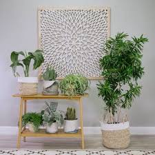 If you are looking for easy plants decoration tips and ideas. Find 15 Incredible Indoor Plants Decor Ideas Simdreamhomes