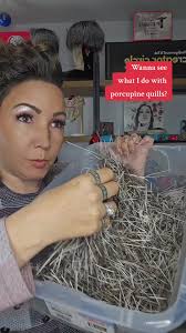 Porcupine Quills Decor