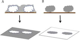 Add a small amount of neutral ph soap to a damp sponge and wipe down the area. Positive And Negative Staining Using Heavy Metal Salts In Negative Download Scientific Diagram