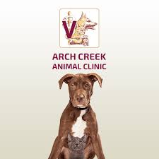 Don't see your favorite business? Vet Clinic In North Miami North Miami Beach Fl Animal Hospital