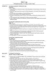 Salesforce Administrator Resume Samples Velvet Jobs