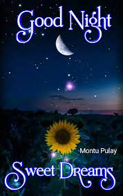 Avicii — sweet dreams (eurythmics cover) 04:37. Pin On Good Night