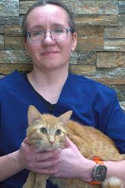 About Our Veterinary Hospital in Maplewood