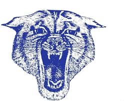 Profile for Blair-Taylor Wildcats Boys Basketball