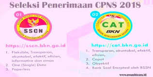 Catat Jangan Sampai Keliru Begini Cara Daftar Cpns 2019 Abi Awam Bicara