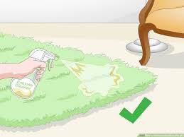 How To Find Cat Urine With A Uv Light 10 Steps With Pictures
