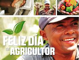 Hoy celebramos en esta fecha el Ida Nacional del Agricultor : Ayuntamiento  Municipal de Cabrera