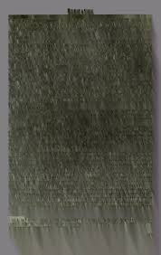 Image result for Peddiea rapaneoides