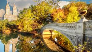 Maybe you would like to learn more about one of these? Upzfx8cqi9gaom