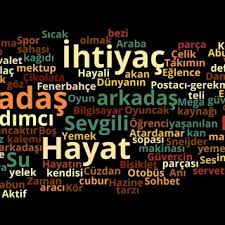 Soner Yildirim Professor Full Phd Middle East Technical University Cankaya Metu Department Of Computer Education And Instructional Technology