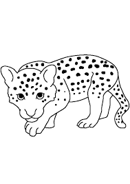 Coloring pages are fun for children of all ages and are a great educational tool that helps children develop fine motor skills, creativity and color recognition! Coloring Pages Baby Cheetah Coloring Page