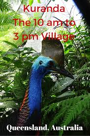 Kuranda The 10 Am To 3 Pm Village Travel Queensland Australia Australia Travel Happy Travels Australia
