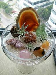 Crystals And Plants Crystal Garden Air Plants Crystal Decor