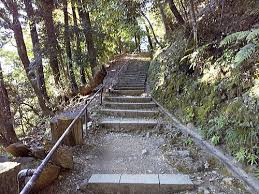 鞍馬寺 奥の院参道】 牛若丸も修業した鞍馬山の聖地 - 京都観光旅行ガイド