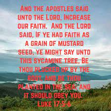 Pin On Kjv Bible Verses