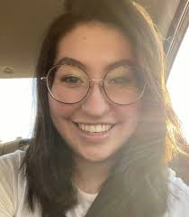 Candidates show their true colors with political yard signs