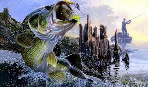 Free Bass Fishing Wallpaper Bass Fishing Wallpaper Download Wallpaperuse 1