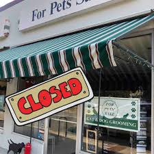 At for pet's sake grooming, your dog will be taken care of by a great staff that has a passion for making your dog looks its best. Fundraiser For Jackie Barchesky By Phoebe Jones Help For Pets Sake Come Back