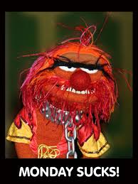 Pin By Satu Suomalainen On P Animal Muppet Muppets Quotes Muppet Meme